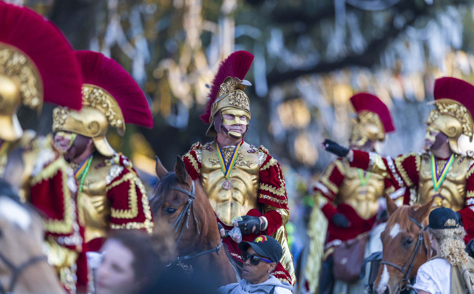 NO.bacchus.030325_10757.JPG